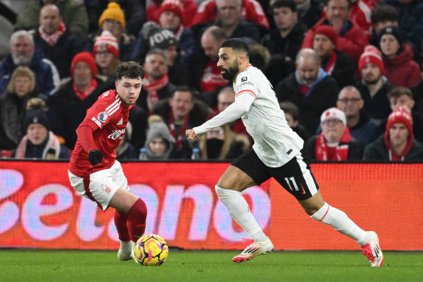 这种名家的 这种名家的