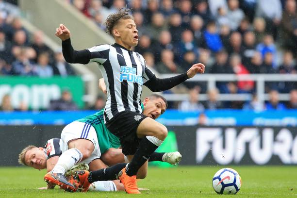 菲利普的职 菲利普的职