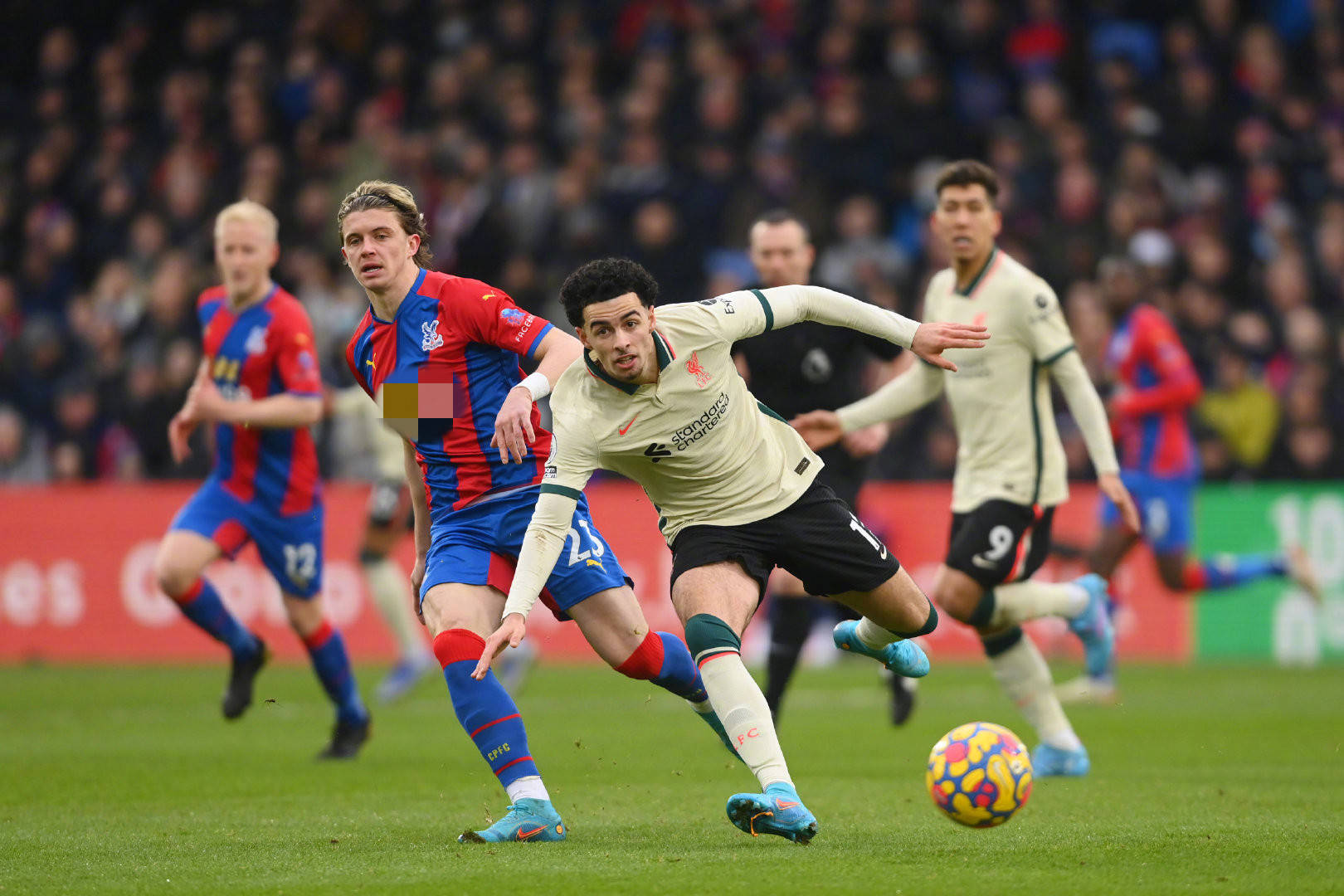 开一支球队 开一支球队