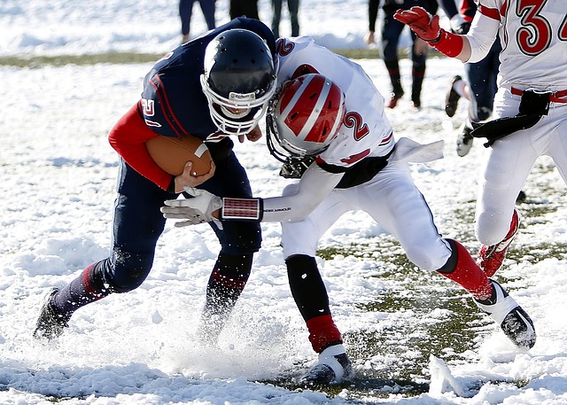 数万名游客 数万名游客