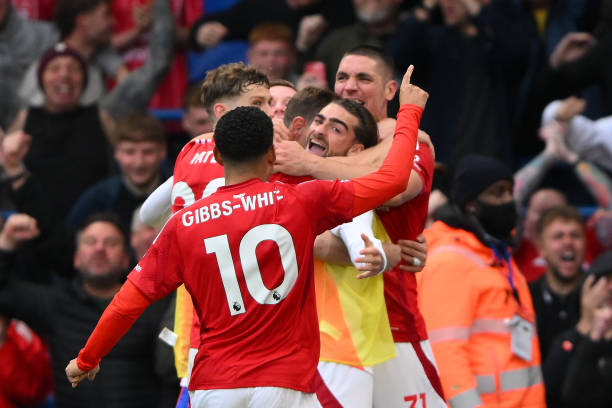 未来展望 未来展望